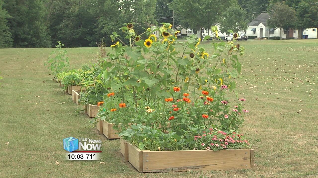 Community Garden opens at Suever Park 3.jpg